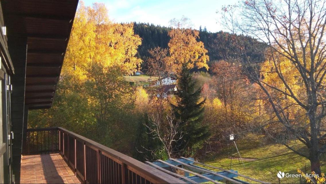 Chalet Les Chardons Gérardmer Exterior foto